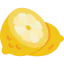 Lemon icon 64x64