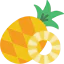 Pineapple icon 64x64