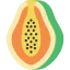 Papaya icon 64x64