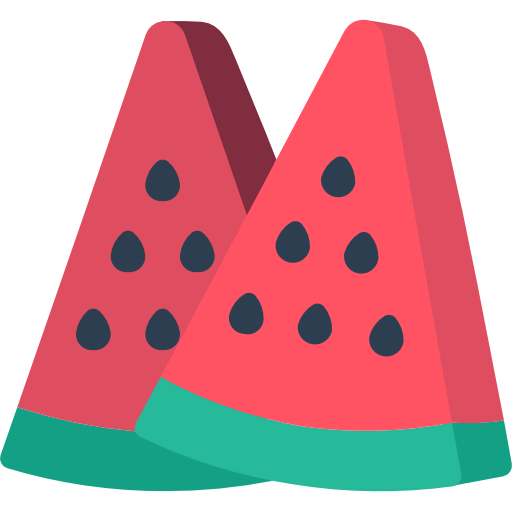 Watermelon icon