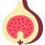 Fig icon 64x64