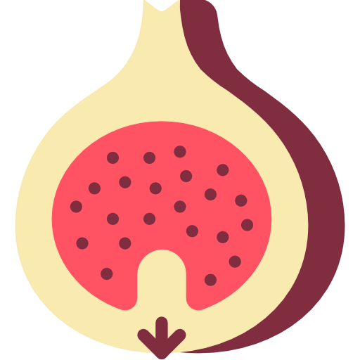 Fig icon