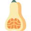 Butternut icon 64x64