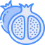 Pomegranate icon 64x64