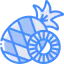 Pineapple icon 64x64