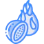 Dragon fruit icon 64x64
