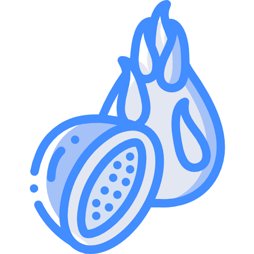 Dragon fruit icon