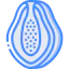 Papaya icon 64x64