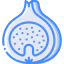 Fig icon 64x64