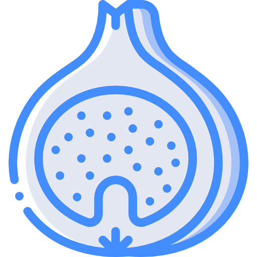 Fig icon