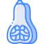 Butternut icon 64x64