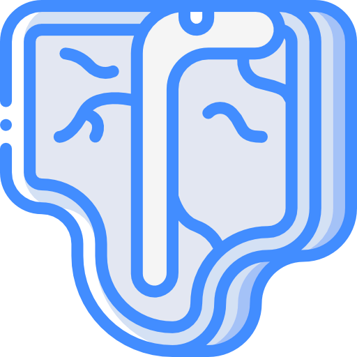 Steak icon