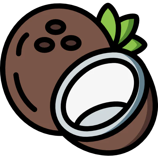 Coconut icon