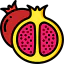 Pomegranate icon 64x64