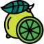 Lime icon 64x64