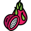 Dragon fruit icon 64x64