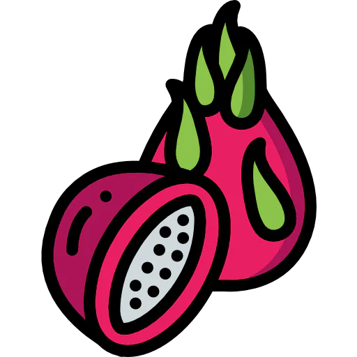 Dragon fruit icon