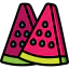 Watermelon icon 64x64