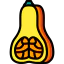 Butternut icon 64x64