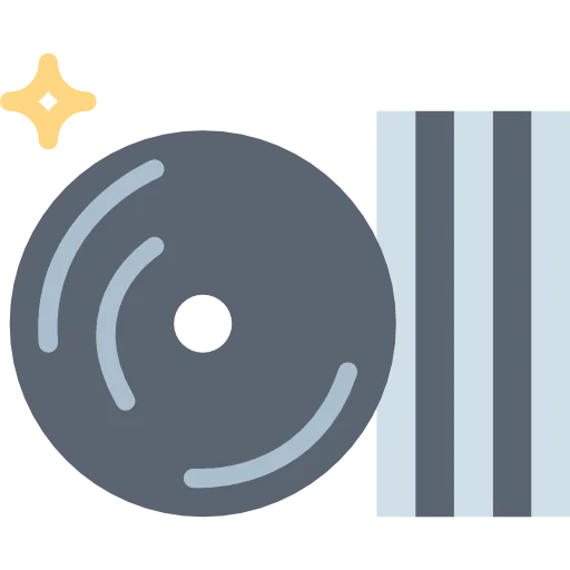 Vynil icon