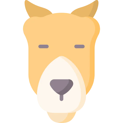 Camel icon