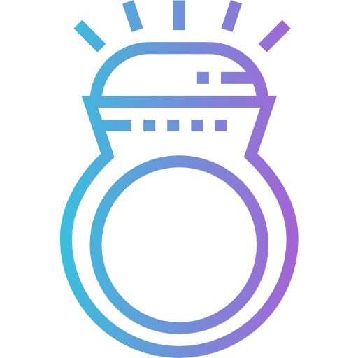 Ring icon