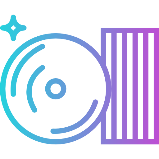 Vynil icon
