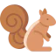Squirrel icon 64x64