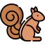 Squirrel icon 64x64