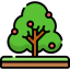 Tree icon 64x64