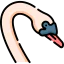 Swan icon 64x64