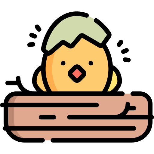 Chick Ikona