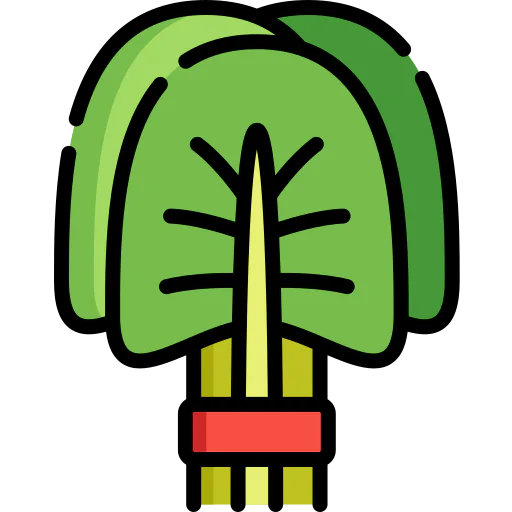 Spinach icon