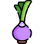 Onion icon 64x64
