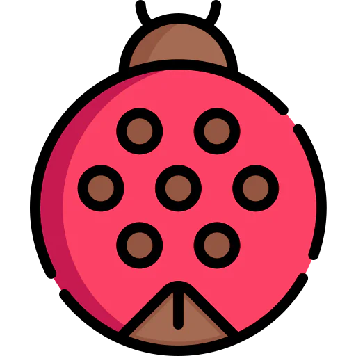 Ladybug ícono