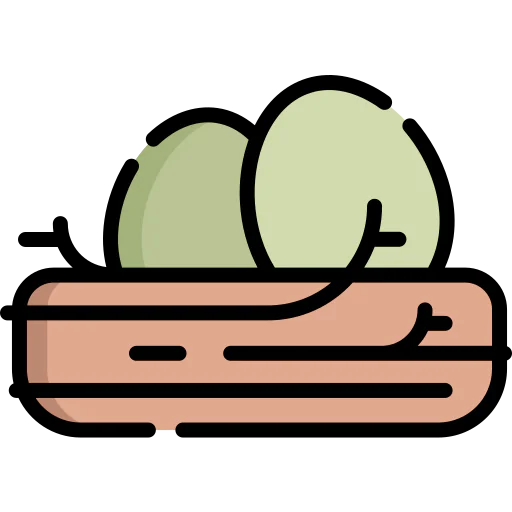 Nest icon