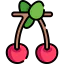 Cherry icon 64x64