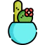 Cactus icon 64x64