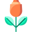 Rose icon 64x64