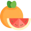 Grapefruit Ikona 64x64