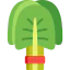 Spinach biểu tượng 64x64