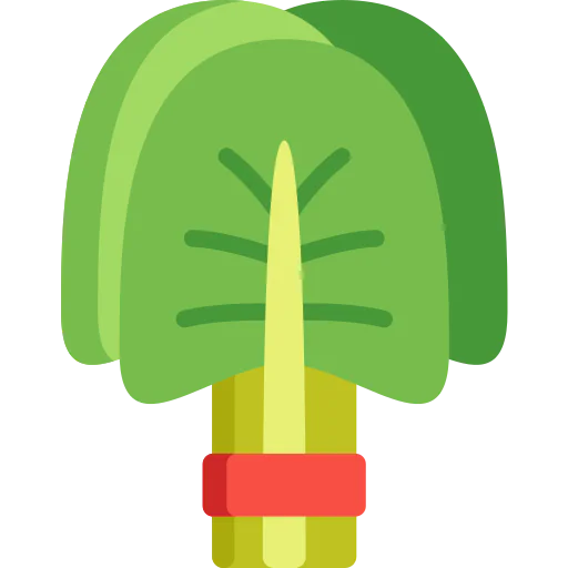 Spinach icon