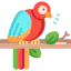 Bird icon 64x64