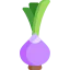 Onion icon 64x64