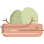 Nest Symbol 64x64