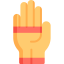 Gloves icon 64x64