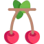 Cherry icon 64x64