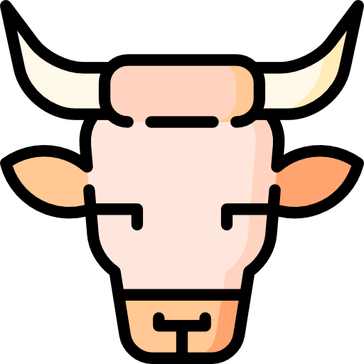 Beef icône