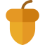 Acorn Symbol 64x64