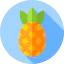 Pineapple icon 64x64